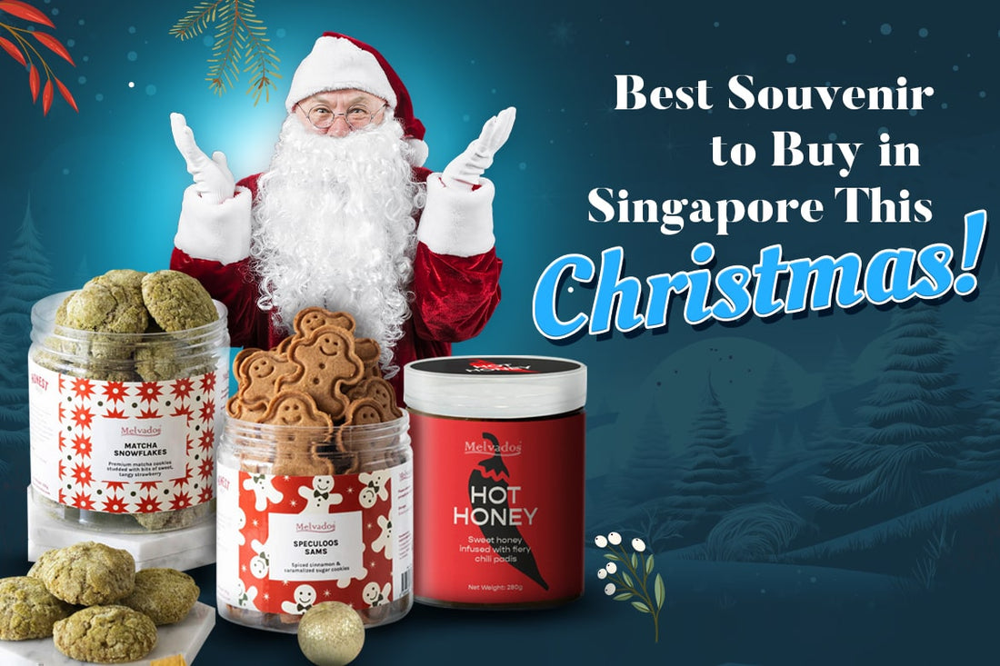 Best Souvenir to Buy in Singapore This Christmas   