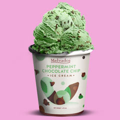 Peppermint Chocolate Chip Ice Cream - 470ml