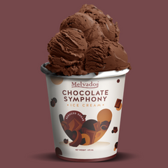 [Reduced Sugar] Chocolate Symphony Ice Cream - 470ml